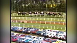 1988 Caulfield Cup Imposera