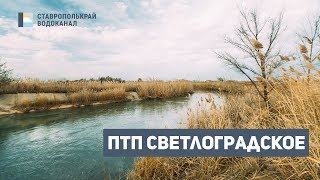 ПТП Светлоградское