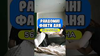 рандомні факти дня. 56 частина