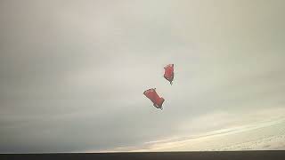 AMAZING COUPLE WINGED BASE JUMPING!!!