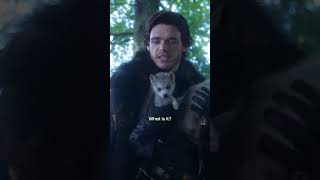 That one's yours snow #gameofthrones #jonsnow #ghost