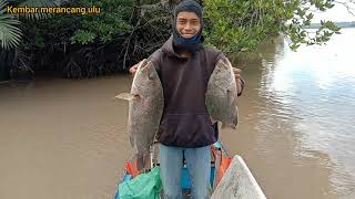 mancing disungai kecil ikannya pada gumpul disatu spot