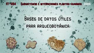 Arqueobotánica: Bases de datos útiles