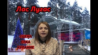 ЛАСЛУГАС_01_19| Новая сцена в Заречном парке, ёлки больше нет, купели - есть.