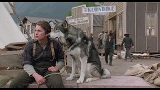 The beaufiful friendship💖 of White Fang 🐕💖 with Jack🦁 🇨🇦👑🦄