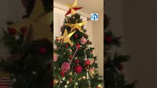 L' albero di Natale di Taylor Mega