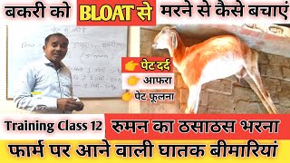 Online Training Class 12|Bakri Ko Afare Se Marne Se Kaise Bachaye |Bloat|Tympany|Gais|Vimalumrao |