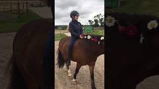 She is so pretty🌷🌸🌹🌺 #pony #horse #cutepony #shortvideo #cute #love #riding #outside