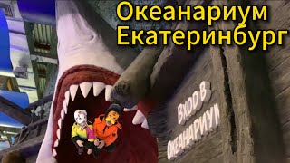 ОКЕАНАРИУМ ЕКАТЕРИНБУРГА 
 #океанариум Екатеринбурга