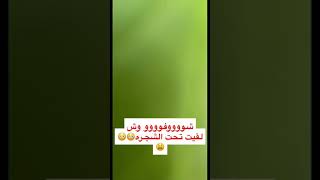 فررراوله ابهاء