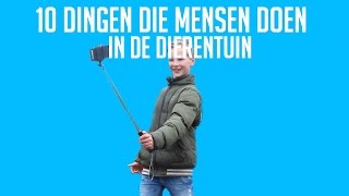 10 dingen die mensen doen in de dierentuin - CasWetsema