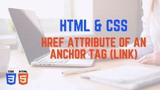 Href Attribute of an Anchor Tag (Link)