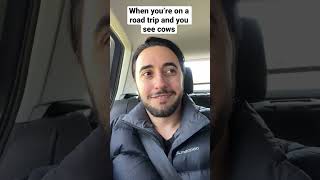 When you see cows