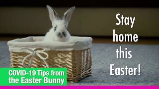 COVID-19 Tips from the Easter Bunny