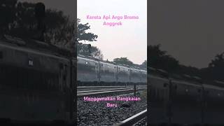 Kereta Argo Bromo Anggrek menggunakan Rangkaian Baru #argobromoanggrek #keretaapi #semboyan35 #cc206