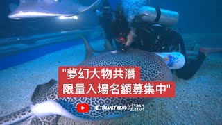 解鎖與護士鯊、魟魚、鎚頭鯊共潛的夢想就在臺灣，澎湖水族館開放倒數中