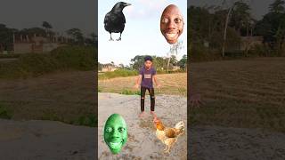 Crow parrot hen peigon funny VFX magic video from colourful furry heads #shortsfeed #trending