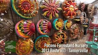 Pocono Farmstand Nursery, Tannersville PA - Spring 2022