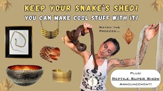 What To Do With Snake Shed! Preserve, Create, Make Art, and Enjoy!