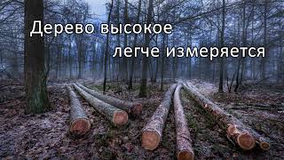 Очень красивый стих к новому году | Стих | МСЦ ЕХБ