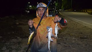 nocturna en punta Lara número 4  Paty moncholos bagres amarillos con el amigo Sergio i maxi pesca