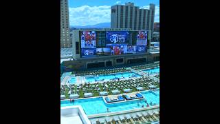 Epic Views! The Single King Room Tour @ Circa Vegas Fremont Street Downtown #lasvegas #vegas #shorts