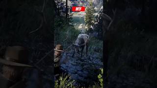 Don’t Make The Same Mistake I Did in Red Dead Redemption 2￼￼ #shorts