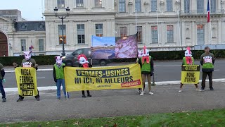 Action « Des fermes pas des usines » de Greenpeace à Grenoble