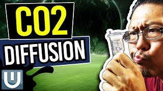 Aquarium Co2 Diffusion - The Ultimate Aquarium Co2 Guide - Part 5