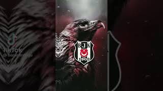 Geç kartal 🦅 bjk