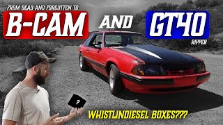 Our GT40 And B Cam Foxbody Mustang Is A Ripper! And  @whistlindiesel  Boxes??