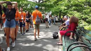 Strawberry Fields Central Park summer 2016