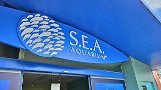 Places To Go - Singapore - EP 3 S.E.A Aquarium