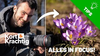 Alles over FOCUS BRACKETING | Kort & Krachtig