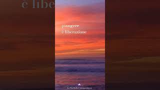 Piangere è liberazione #meditazioneguidata #meditazione #conforto #laviadellaconsapevolezza #shorts