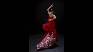 Vino Latino Flamenco