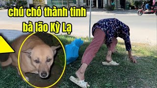 Chuyện Kỳ Lạ Bà Lão Sống Chung Con Chó Thành Tinh và cái Kết