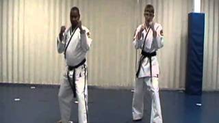 Songahm 1 Sparring Combo #1.mpg