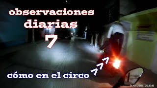 Cómo en el circo || Observaciones diarias 7 || Motovlogs