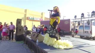 Cinco De Mayo 2017 South Omaha Street View Pt 6