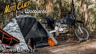 Ep.23 | Motorcycle Camping Solo In The Woodlands | Silent Vlog