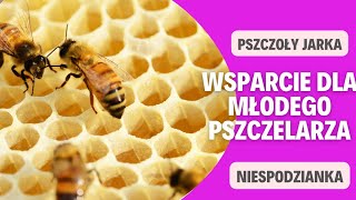 Nowy Rozdział w Pasiece: Wsparcie dla Młodego Pszczelarza. #nadobrypoczątek