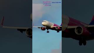 Wizzair, was ist dein Favorit?