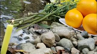 Offerings In Nature And Animals