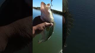 Este video de pesca tuvo muchas emociones