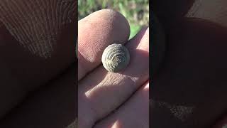 Нашли старинную вещь #shorts #metaldetecting #поисксметаллоискателем #стариннаявещь #нашли