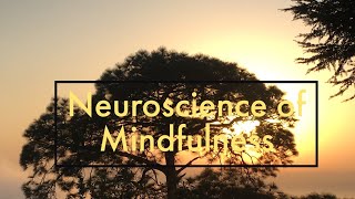 Neuroscience of Mindfulness