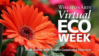 Grow Native! With Pamela Burton from Rutgers Cooperative Extension