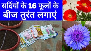 अकतूबर में तुरंत लगायें इन 16 फूलों के बीज / सर्दियों के फूलों के नाम / Winter Flower Name in India