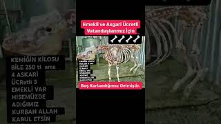 KEMİKLİ KURBAN AÇ ASGARİ ÜCRETLİ SÜRÜNÜYOR EMEKLİ ALLAH KABUL ETSİN MECLİSTEKİ HERKES GÖBEKLİ